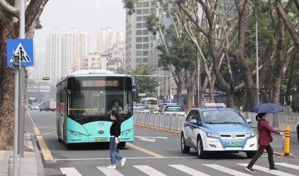 日踩刹车200多次,深圳巴士驾驶员已形成斑马线“肌肉记忆”(图4) 图片