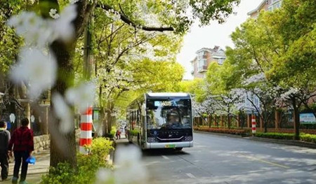 全国政协委员钟志华：探索建立个人“碳账户”鼓励公交出行，聚焦“双碳”推进城市公交创新发展(图2)
